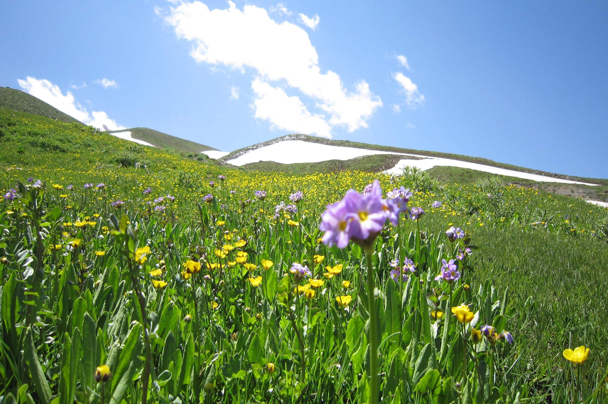 طبیعت ارومیه