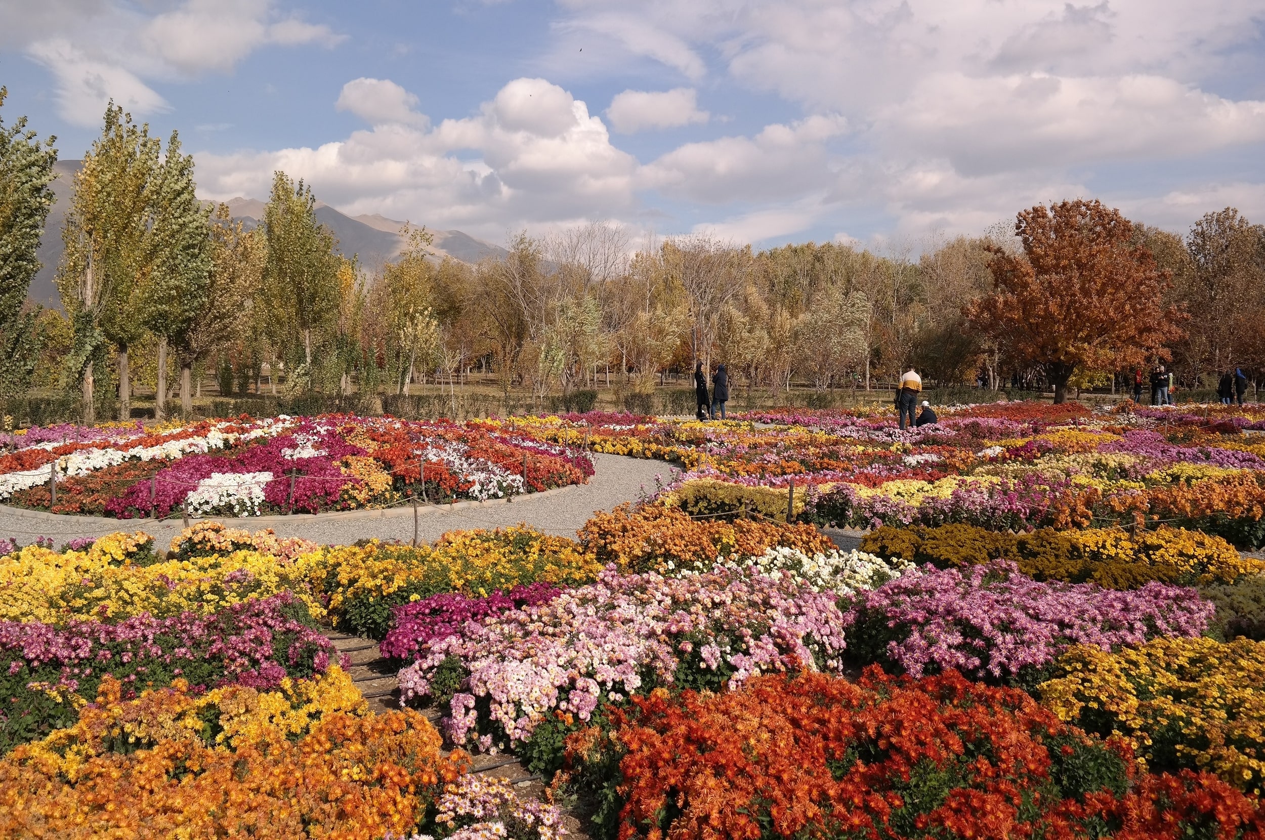 باغ گیاه‌شناسی ملی ایران