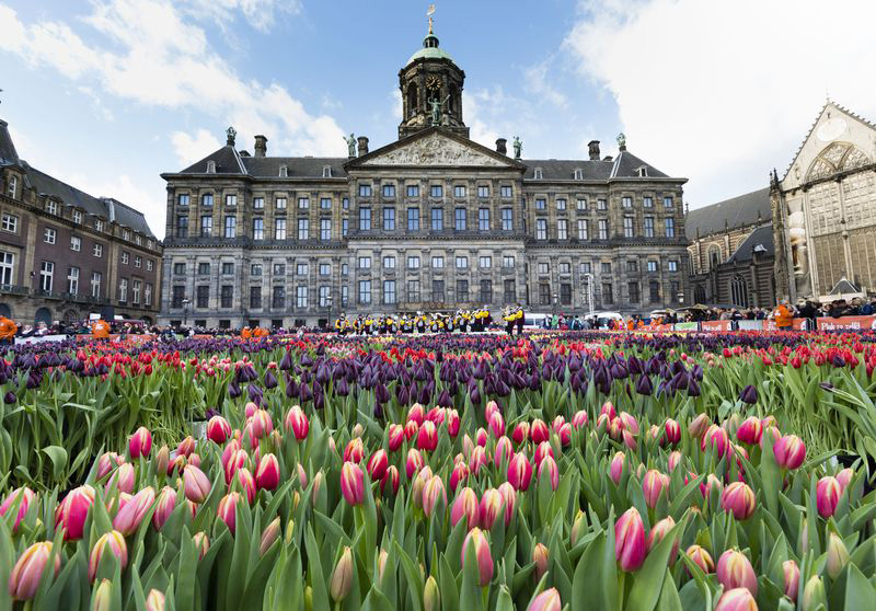 قصر سلطنتی آمستردام، نماد پادشاهی هلند