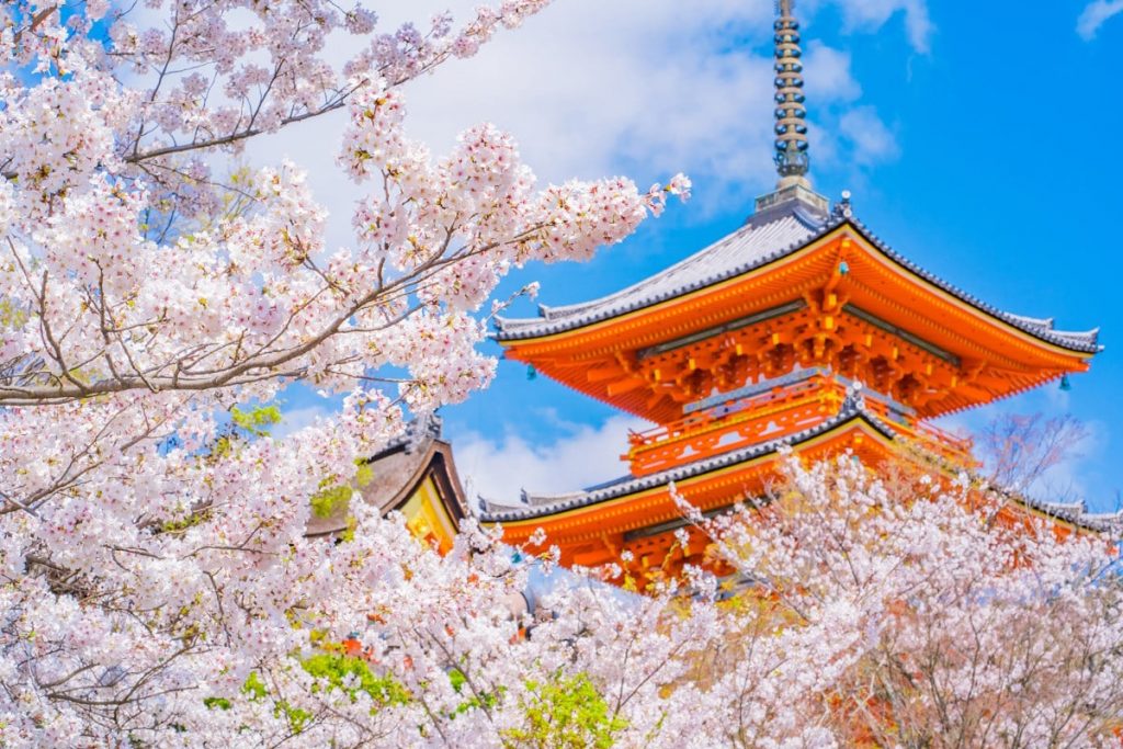 ژاپن ، سفری به سرزمین آفتاب