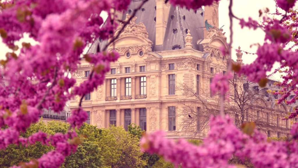 7 روز فرانسه (TK2331)