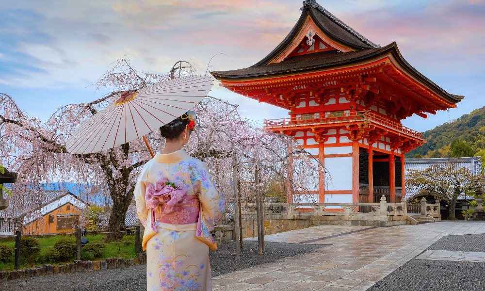 سفر به ژاپن در بهار
