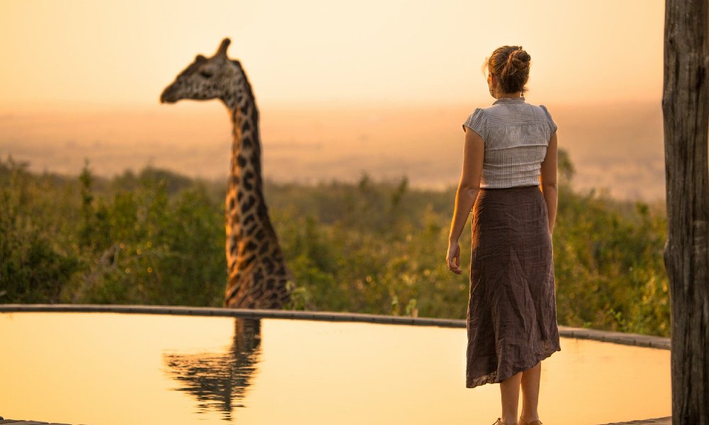 معرفی سافاری های لاکچری آفریقای جنوبی 2025