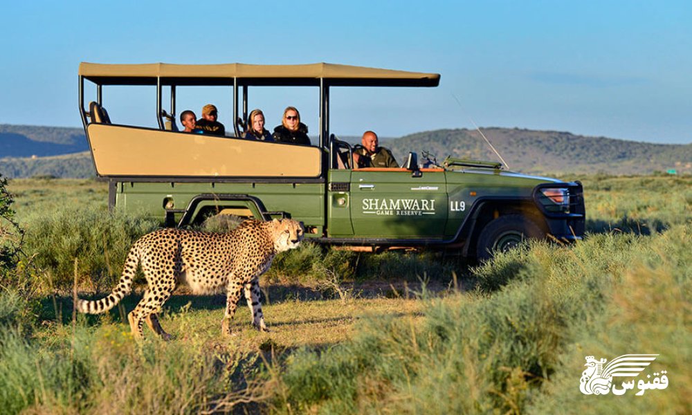آفریقای جنوبی؛ ماجراجویی و حیات‌وحش در قلب آفریقا