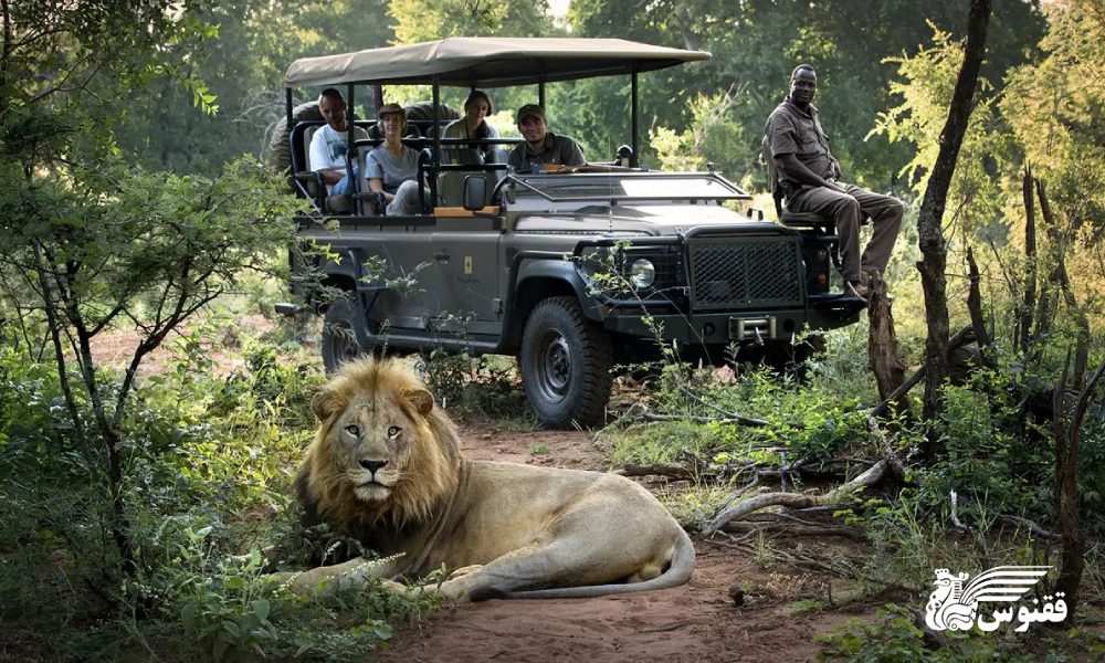 هزینه سفر به آفریقای جنوبی برای دیدن جاذبهها