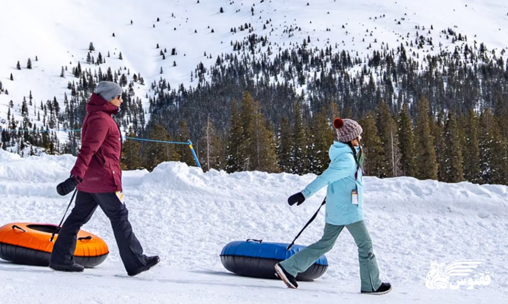 راهنمای شکار تورهای لحظه آخری زمستانه