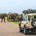 جاهای دیدنی آفریقای جنوبی که باید حتما ببینید