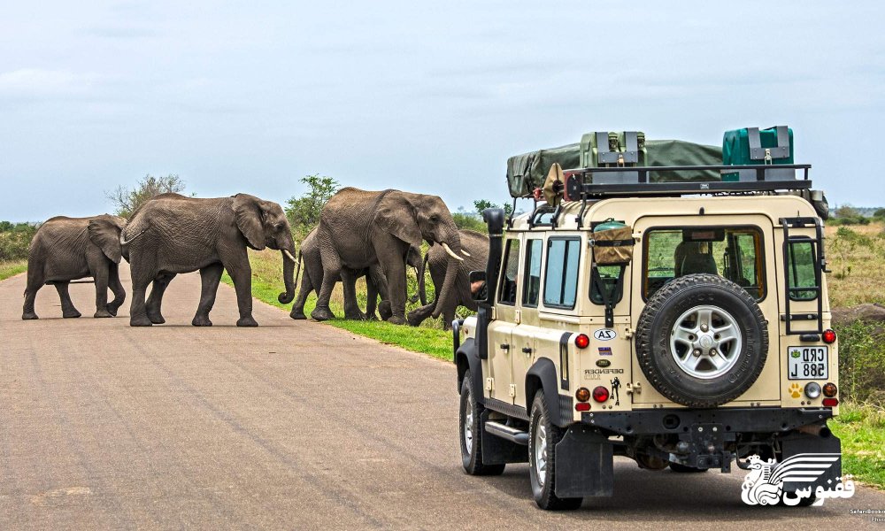 جاهای دیدنی آفریقای جنوبی که باید حتما ببینید