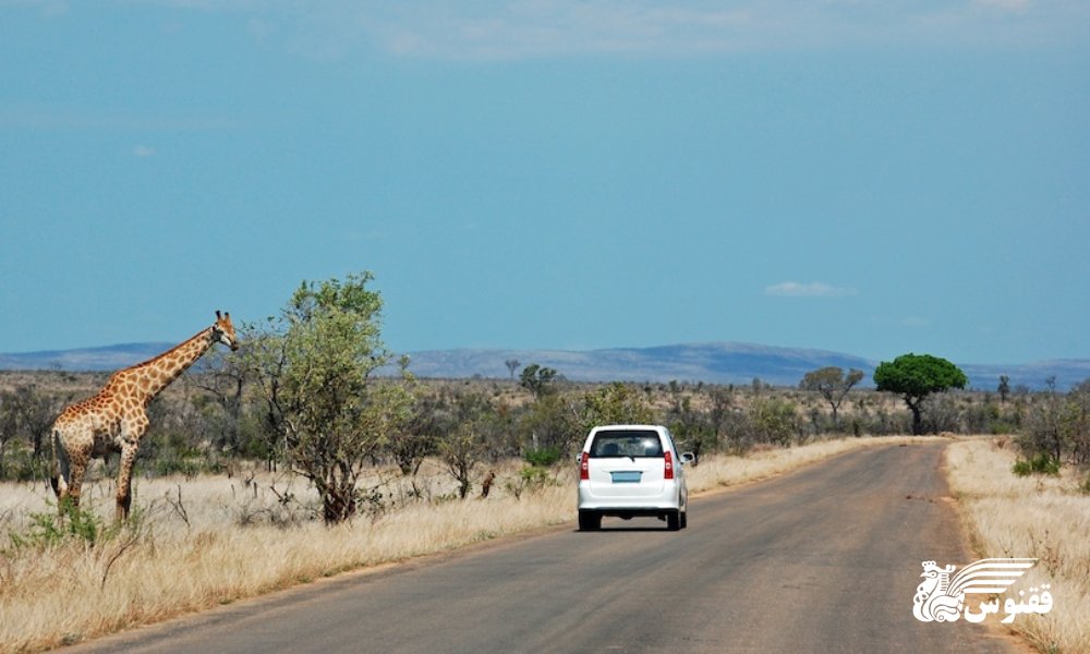 پارک ملی کروگر
