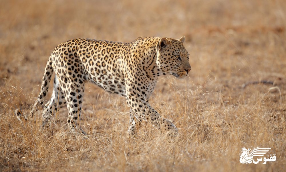 منطقه حفاظت شده سابی سندز