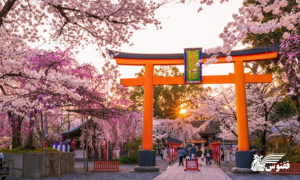 کیوتو (Kyoto)