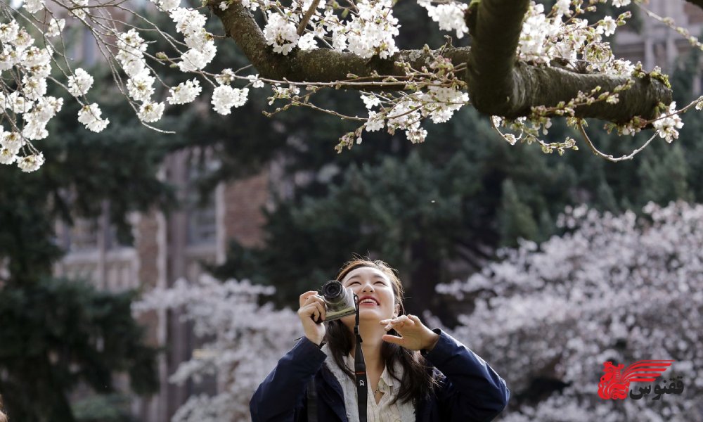 شرایط آب و هوای چین در سفر نوروزی