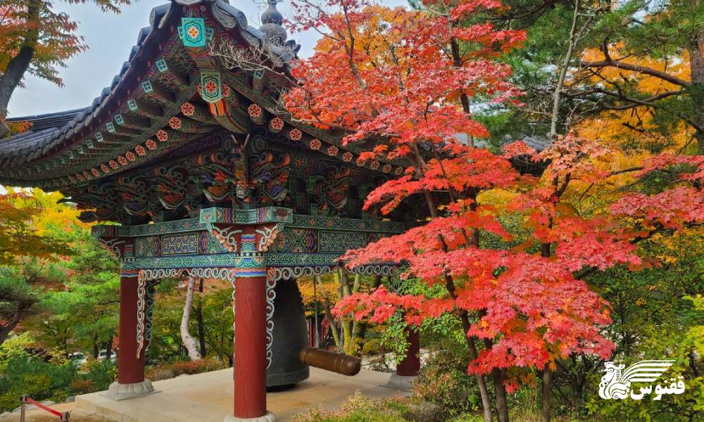 مقایسه ژاپن و کره جنوبی از نظر مناظر طبیعی