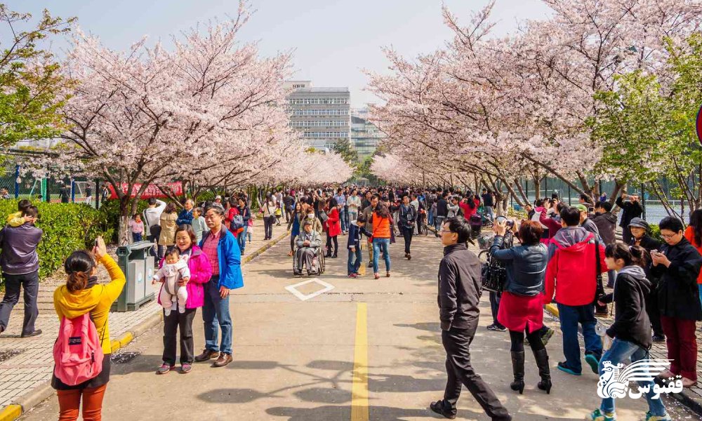 کدام مناطق چین در نوروز برف میبارد؟