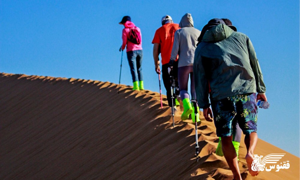 راهنمای انتخاب تور گروهی یا انفرادی برای سفر